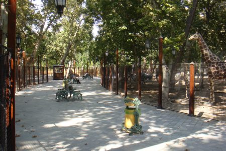 Cheap family fun day out at Tehran’s Park-e Shahr