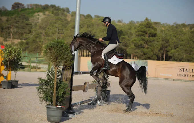 Abrash Horse Club Tehran