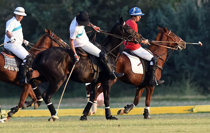 Horse Riding Clubs