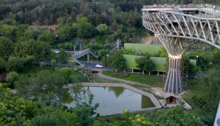 Nature_Bridge