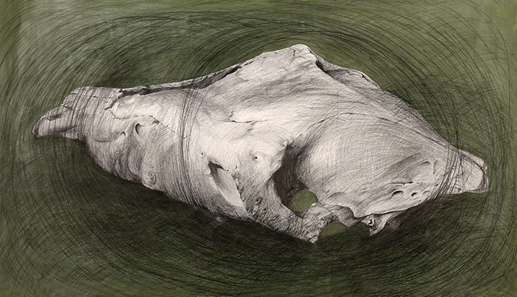 iran_art_homa_72111