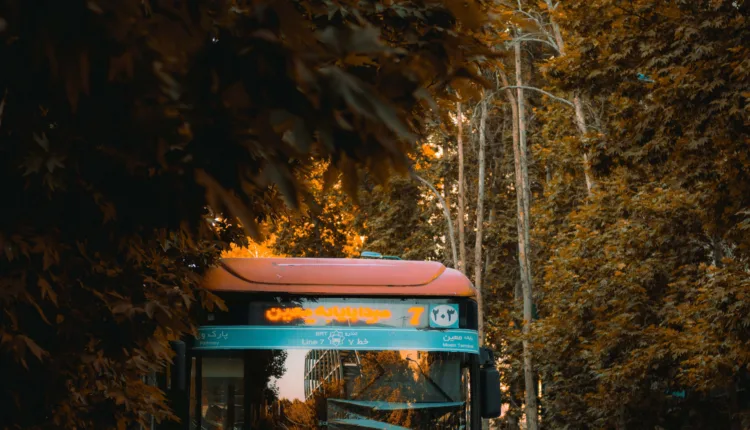 amir-hosseini-valiasr