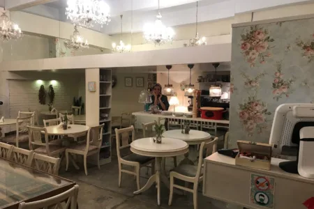 Vegan Restaurants in Tehran: A Guide
