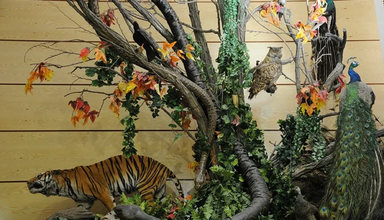Darabad Museum in Tehran