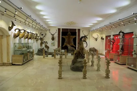Tehran’s Nature and Wildlife Museum of Darabad
