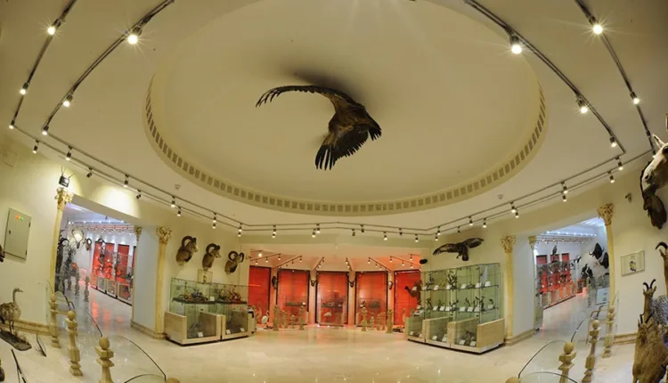 Darabad Museum in Tehran3