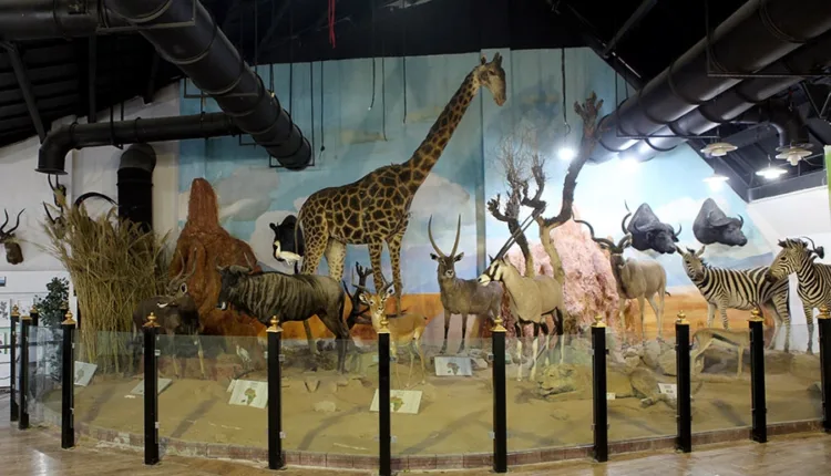 Darabad Museum in Tehran4
