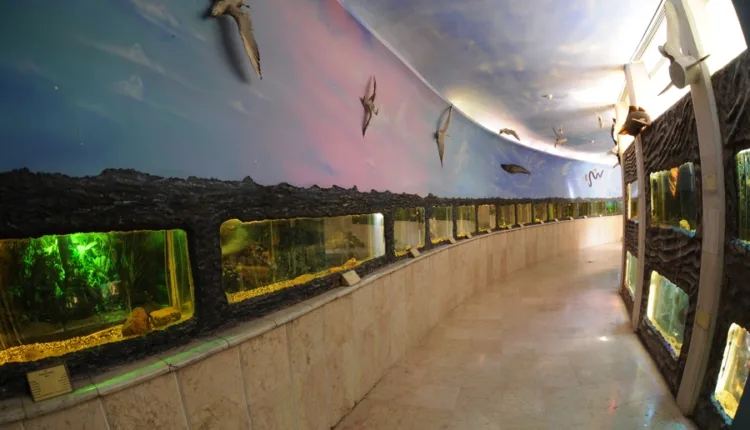 Darabad Museum in Tehran5