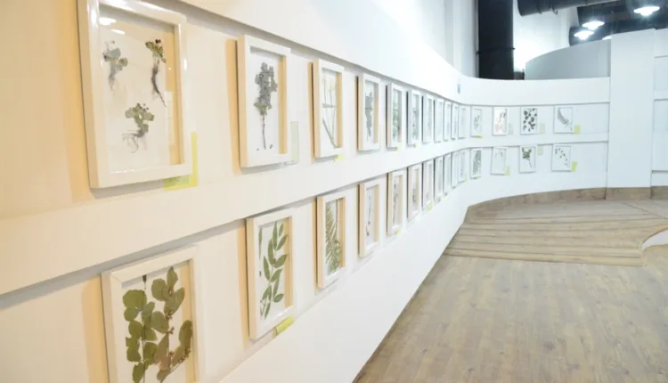 Darabad Museum in Tehran
