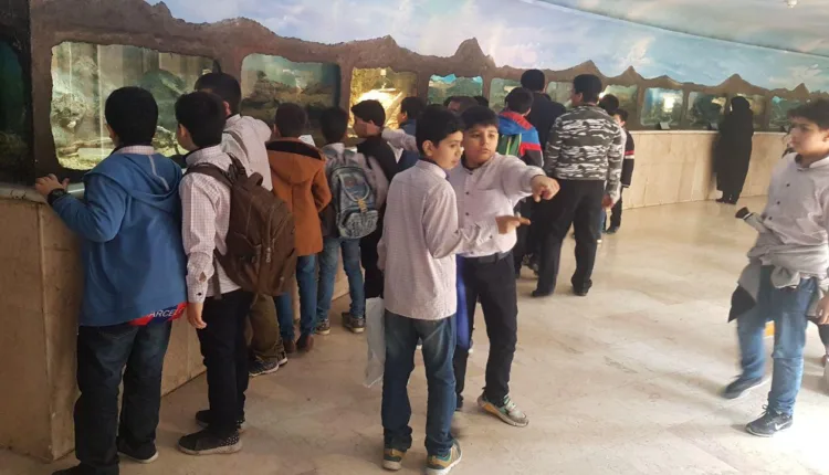 Darabad Museum in Tehran